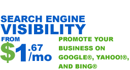 Search Engine Visibility increase website traffic