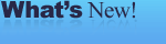domain registration, domain hosting news