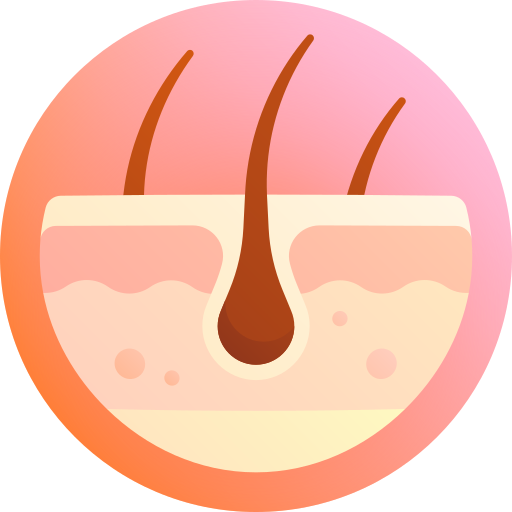.HAIR DOMAINS - HAIR domain meaning