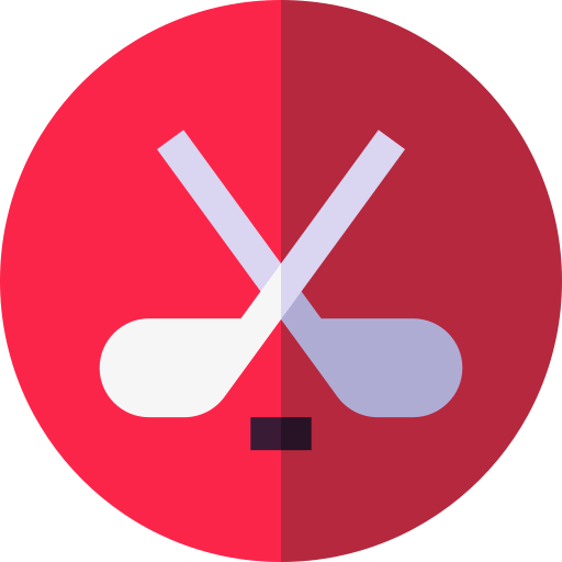 .HOCKEY domain meaning
